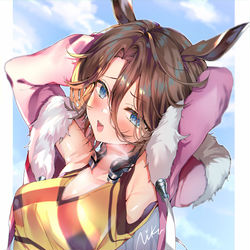 This is a pixiv picture whose title is ナリタタイシン.