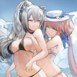 This is a pixiv picture whose title is Schwarz and Ceylon.