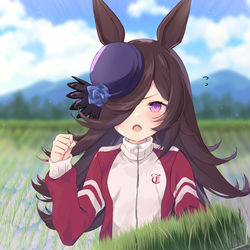 This is a pixiv picture whose title is ライスちゃん.