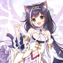 This is a pixiv picture whose title is プリンセスキャル.