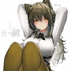 This is a pixiv picture whose title is ロビン.