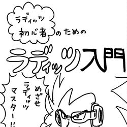 This is a pixiv picture whose title is ラディッツ入門.