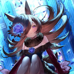 This is a pixiv picture whose title is ライスシャワー.