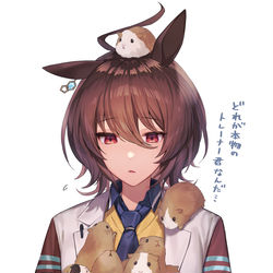 This is a pixiv picture whose title is 本当にモルモットになってしまったトレーナー君.