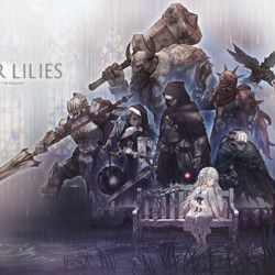 This is a pixiv picture whose title is ENDER LILIES.