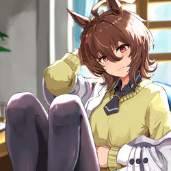 This is a pixiv picture whose title is タキオンに弁当届けたい.