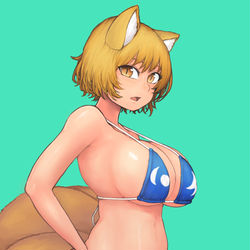 This is a pixiv picture whose title is 東方まとめ.