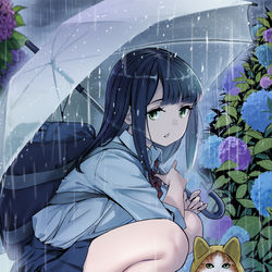 This is a pixiv picture whose title is 梅雨.