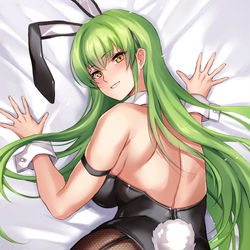 This is a pixiv picture whose title is 彼女.