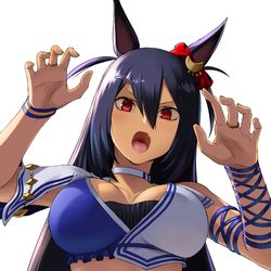 This is a pixiv picture whose title is ヒシアマゾン！.