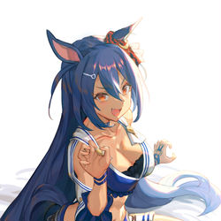 This is a pixiv picture whose title is ヒシアマゾン.