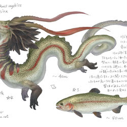 This is a pixiv picture whose title is ニジマス竜.