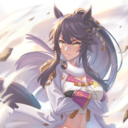 This is a pixiv picture whose title is ナリタブライアン.
