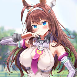 This is a pixiv picture whose title is ミホノブルボン.