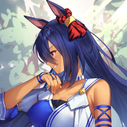 This is a pixiv picture whose title is ヒシアマ姐さん.