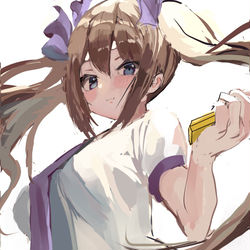 This is a pixiv picture whose title is はたてちゃん.