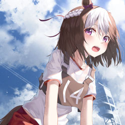 This is a pixiv picture whose title is スペちゃん!.