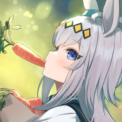 This is a pixiv picture whose title is オグリキャップ.