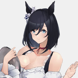 This is a pixiv picture whose title is エイシンフラッシュ.
