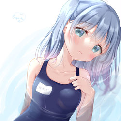 This is a pixiv picture whose title is うちのこはスク水が似合う.