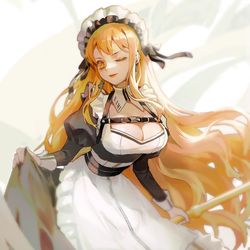 This is a pixiv picture whose title is New orders, master.