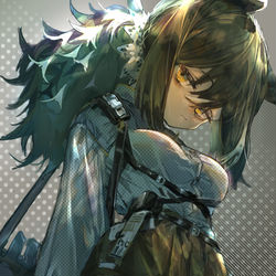 This is a pixiv picture whose title is ロビン.