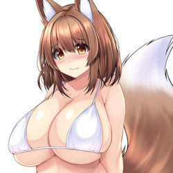 This is a pixiv picture whose title is ぽちゃ狐娘.