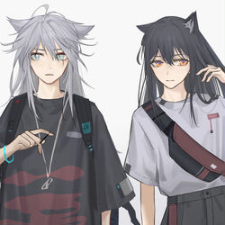This is a pixiv picture whose title is 一窝狼.