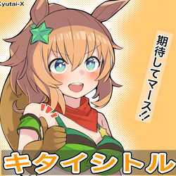 This is a pixiv picture whose title is 期待するタイキシャトル.