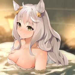This is a pixiv picture whose title is ビワハヤヒデと温泉旅行.