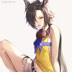This is a pixiv picture whose title is エアシャカール.