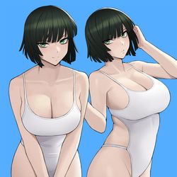 This is a pixiv picture whose title is fubuki.