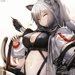 This is a pixiv picture whose title is シュヴァルツ｜黒.