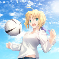This is a pixiv picture whose title is フィールドの王様.