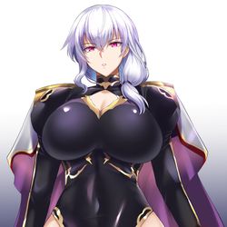 This is a pixiv picture whose title is 女騎士　pixivリクエスト.