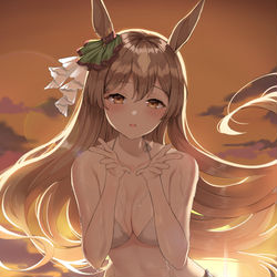 This is a pixiv picture whose title is サトノダイヤモンド.