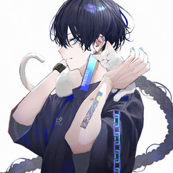 This is a pixiv picture whose title is 七夕.