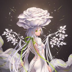 This is a pixiv picture whose title is 白薔薇.