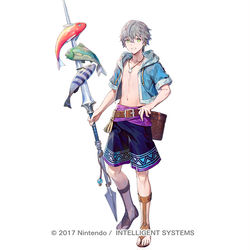 This is a pixiv picture whose title is 【仕事絵】FEH「海の騎士道物語 アッシュ」.