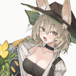 This is a pixiv picture whose title is ビーンストーク.