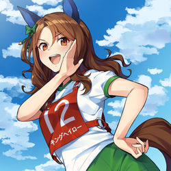 This is a pixiv picture whose title is キングヘイロー.