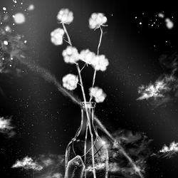 This is a pixiv picture whose title is 雪の花.