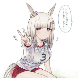 This is a pixiv picture whose title is 体操服ミーク.