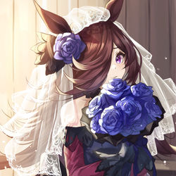 This is a pixiv picture whose title is ライスシャワー.
