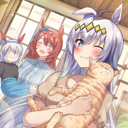 This is a pixiv picture whose title is 猫カフェオグリ.