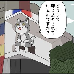 This is a pixiv picture whose title is 新宿の猫.
