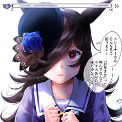 This is a pixiv picture whose title is 1いいねごとに0.1％好感度が上がるライスシャワー.