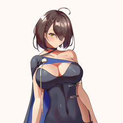 This is a pixiv picture whose title is ボルチモア.