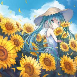 This is a pixiv picture whose title is 盛夏へ.
