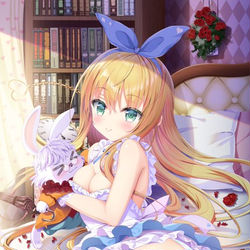This is a pixiv picture whose title is 不思議の国.